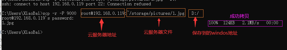 image-20231107202542223